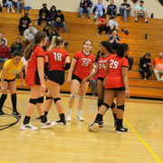 IMG-0336