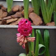 DSC01416
