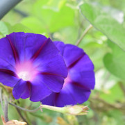 DSC-0476