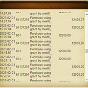 Accounting12-Mextli