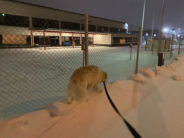 BA0-A05-F1-F9-D7-4-B9-D-89-D3-F1-D1-A466