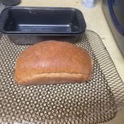 IMG-2413