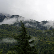 DSC7019