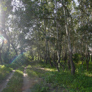 2a03700m