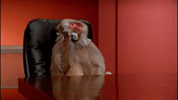 baboonphone3.gif