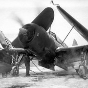 Helldiver-snow