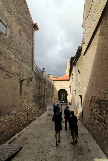 IMG-9726.jpg