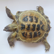 IMG20201001153819