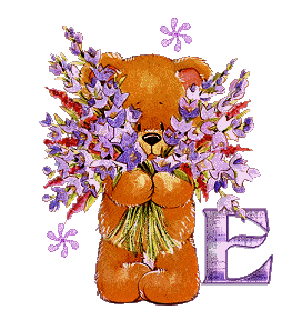 e.gif