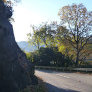 P1130521