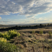 IMG 0408