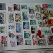 IMG-6937