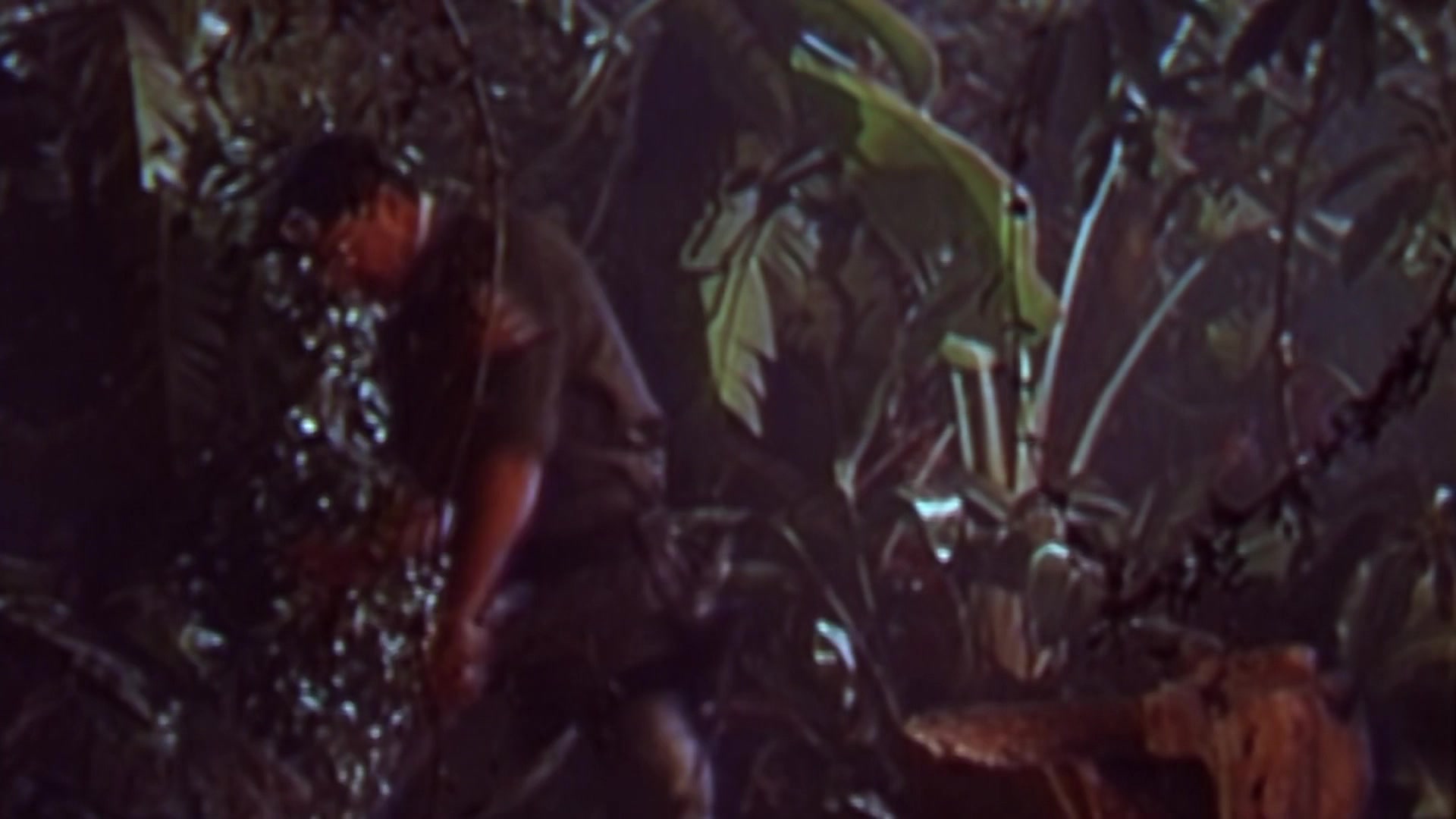 Movie cover image