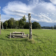 IMG-8713