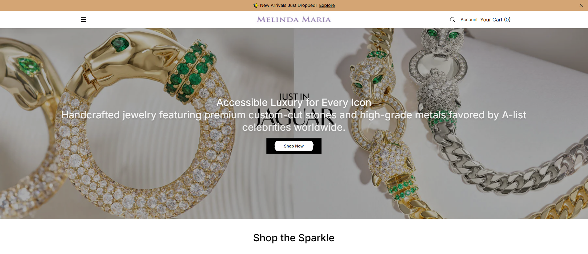 Stored capture of auroraedge.shop