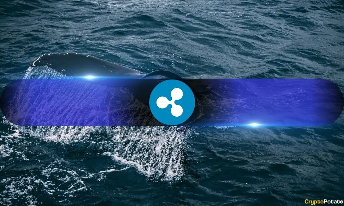 XRP Accumulation Persists Amid Market Turmoil
