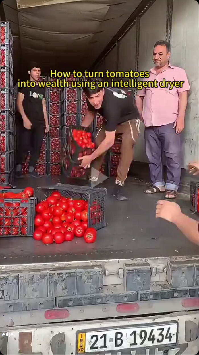 https://i.ibb.co/6R4pKrwz/19434.jpg