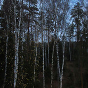 yahonty-views-04