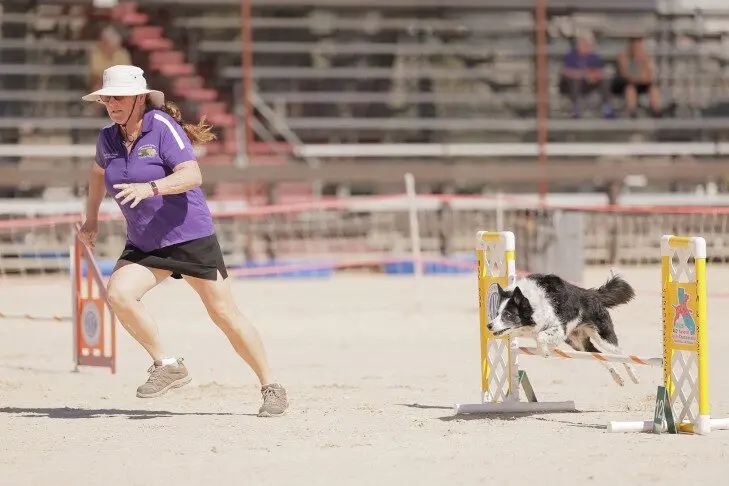From Rescued Puppy to Record Setter: A Journey of Perseverance