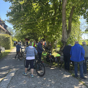 IMG 3318