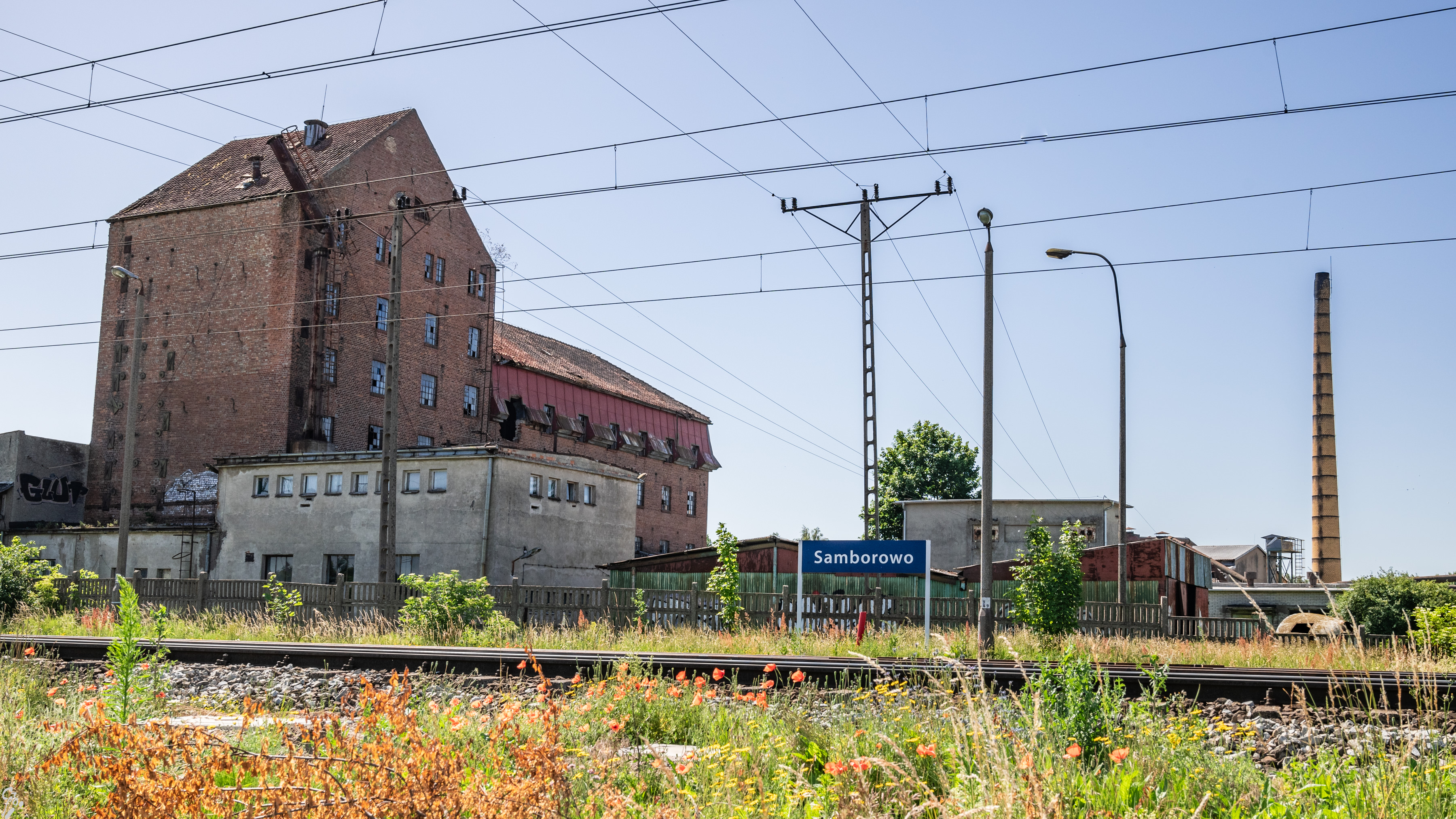 warmia d1 07