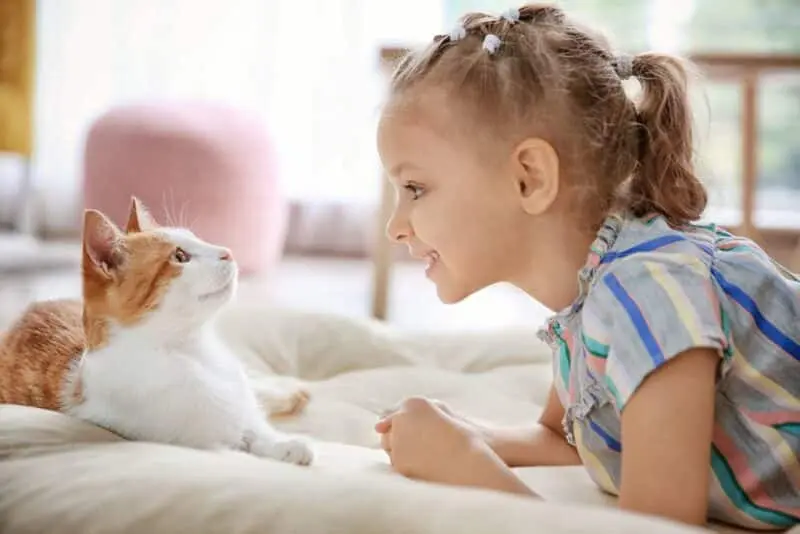 Talking to Cats: A Step Closer to Reality