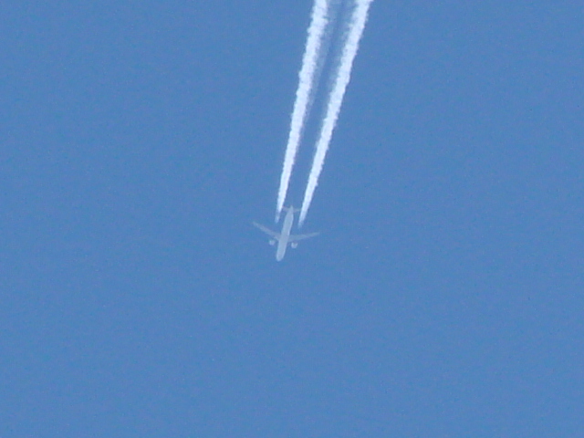 DSC04606.jpg