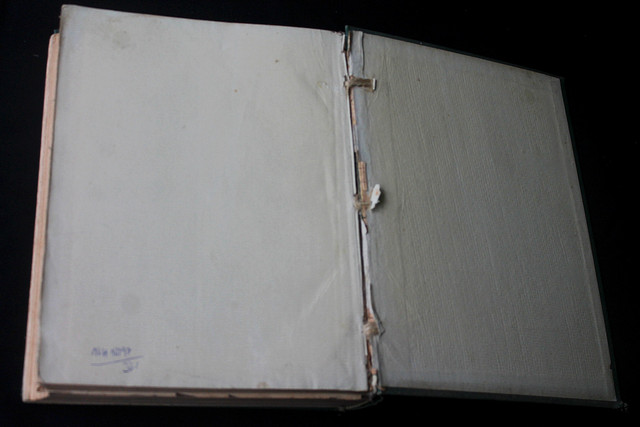 IMG-7693.jpg