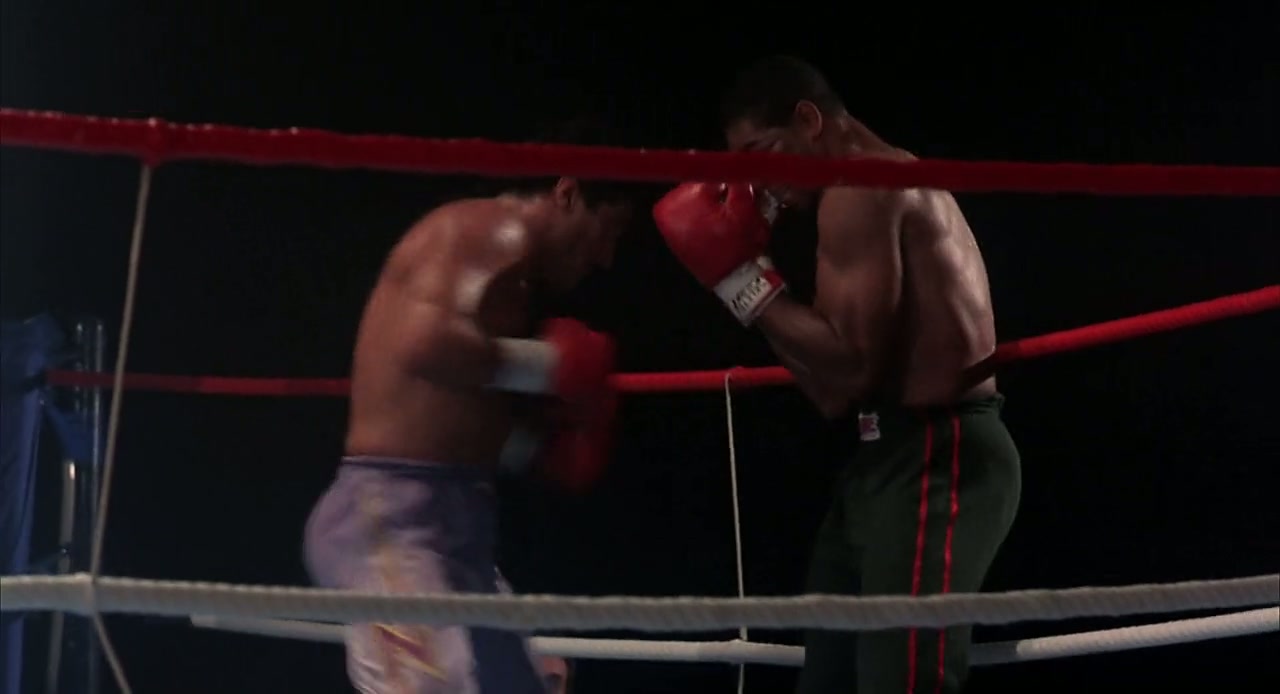 Kickboxer Screenshot