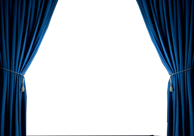 CURTAIN 2.png