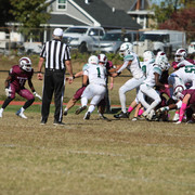 IMG-8010