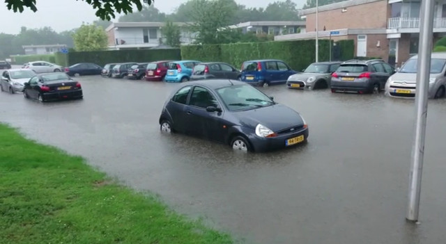 mumroad2.jpg
