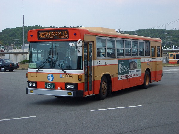 3954d.jpg