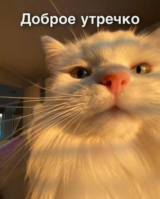 cf165c03964cd9da4e22a36deb988960