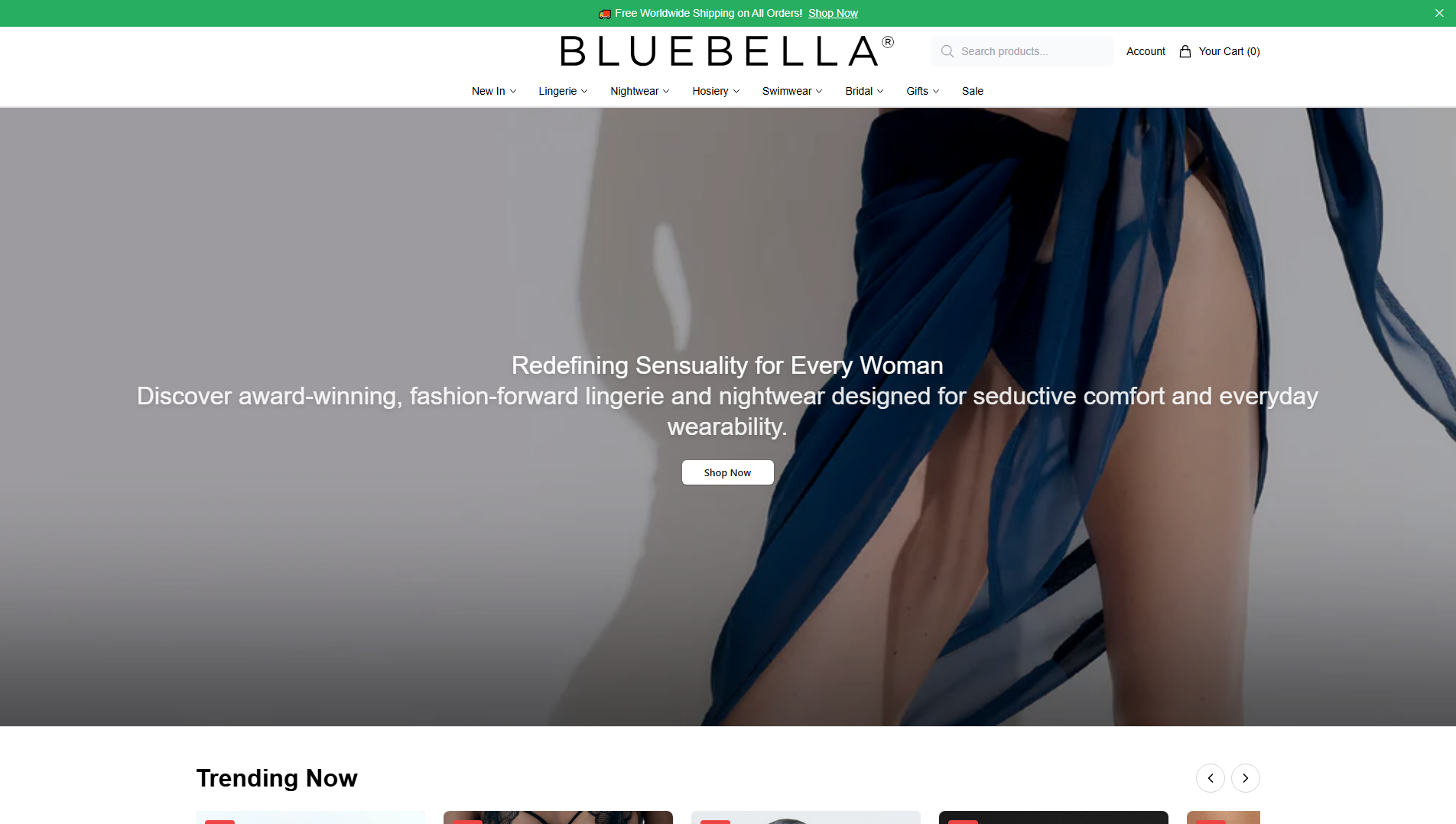 Primary capture · bluebellasalon.shop