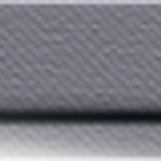 s blank