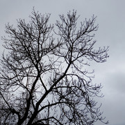 DSC09666