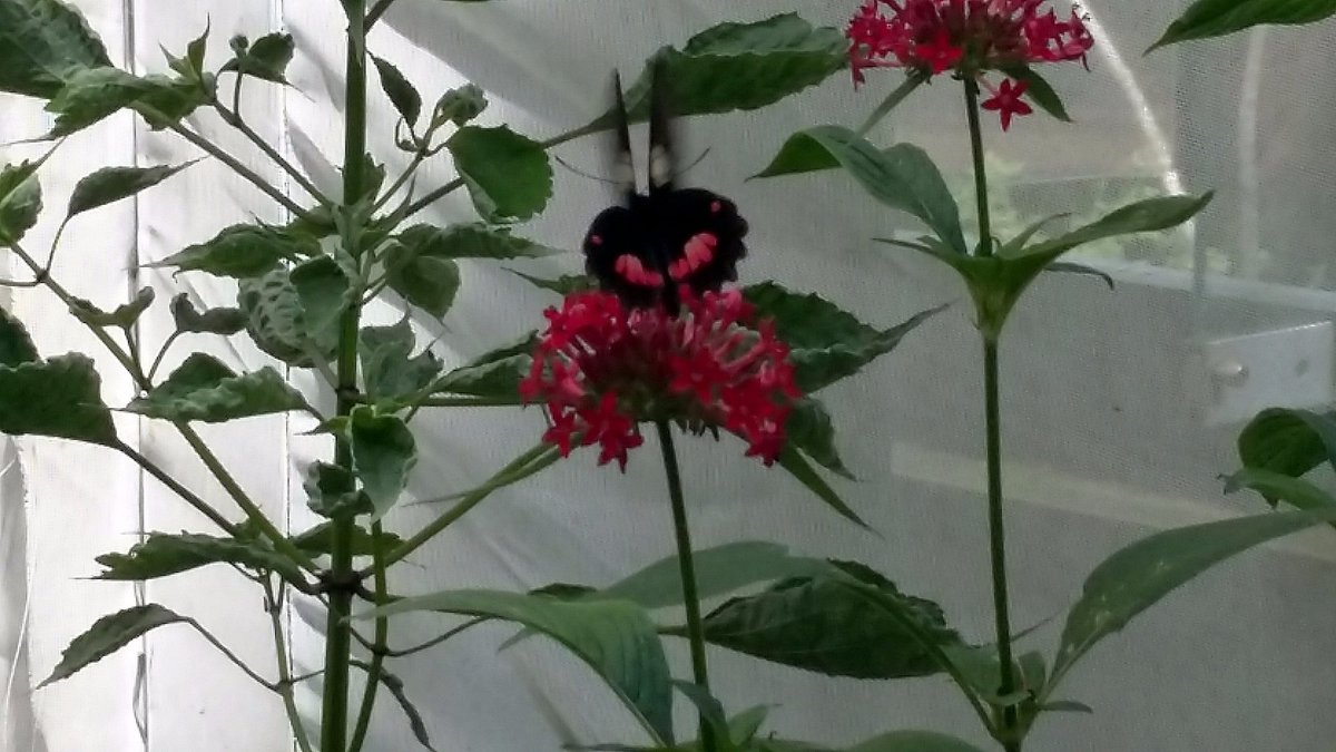 mariposario.jpg