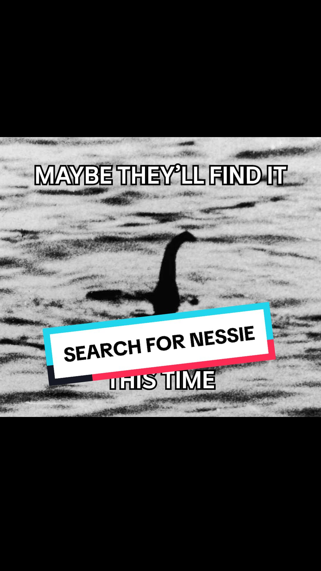 Loch Ness Monster Hunt