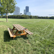 IMG-9147