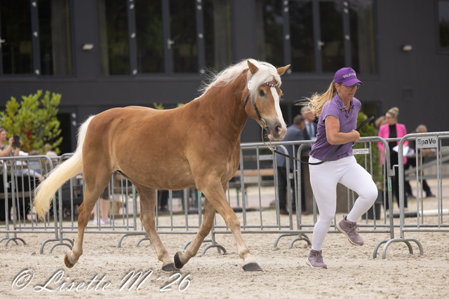76 1.jpg