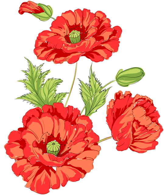 Beautiful poppy seamless pattern set vector 02.png