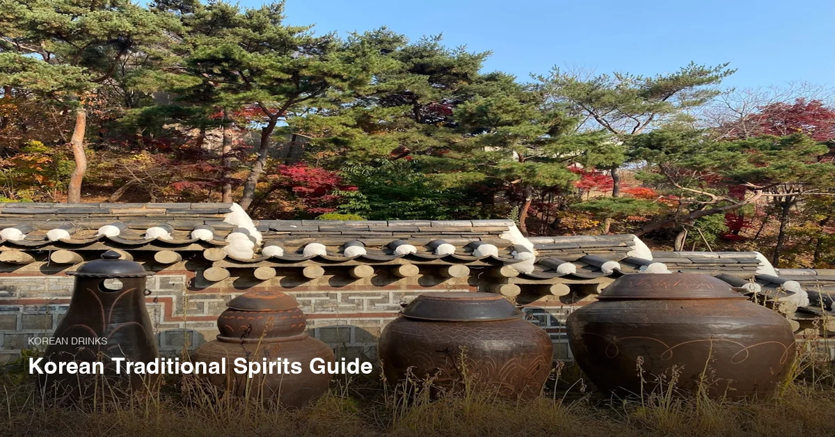 Korean Traditional Spirits Guide: Jeontongju Types, Where to Try, and How to Buy