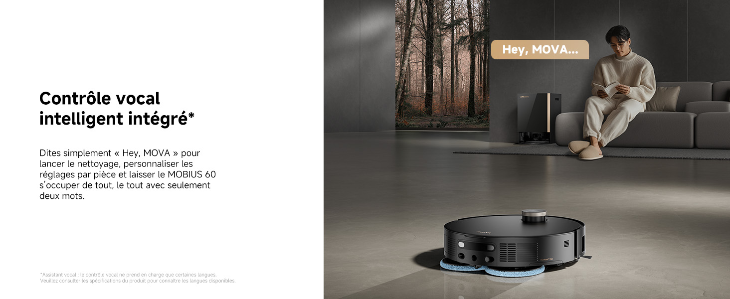 Voice Assistant