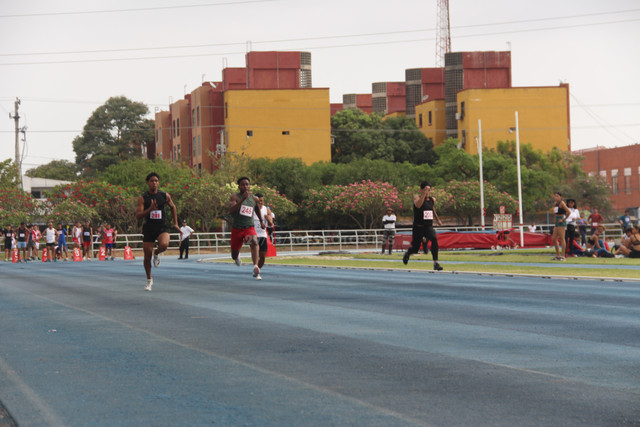 IMG-0113.jpg