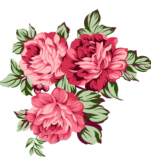 43c3db6ef31924c95c48d3def43f7117.png
