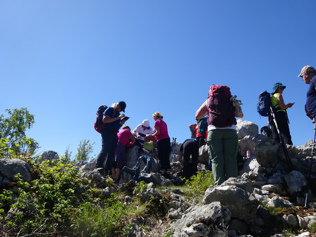 DSC04832.jpg