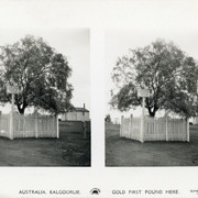 CScope Australia 005