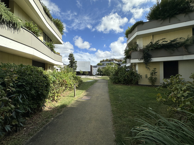 IMG-6747