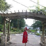 IMG 7570
